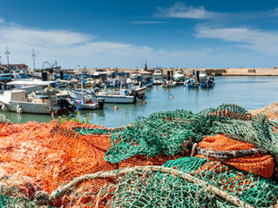 Sharing Our Oceans: International Fishing Treaties