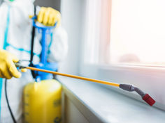 How Everyday Chemicals Could Be Messing with Your Thyroid - Hidden threats to your thyroid health