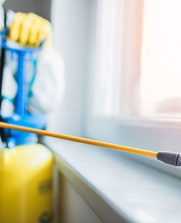 Chemical Disinfection