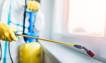 Chemical Disinfection