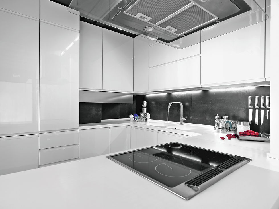 white modern kitchen with steel appliances