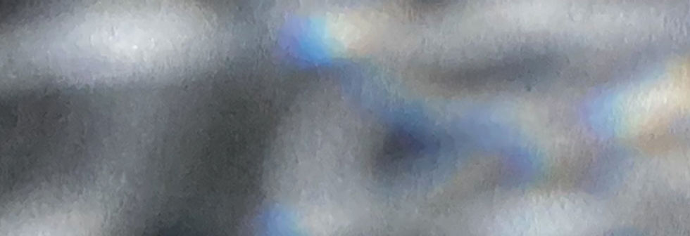 Shells On Textured Surface