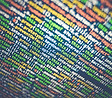 Computer Programming