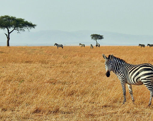 Kenya