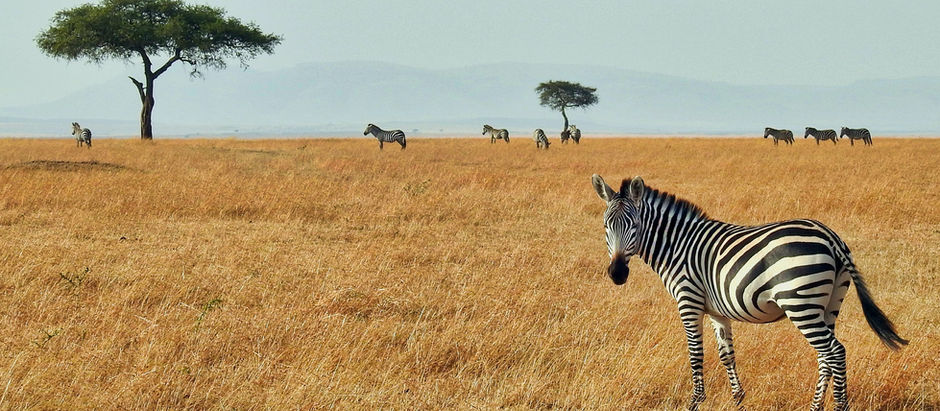 FALL IN LOVE WITH KENYA