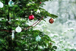 Christmas tree, close-up