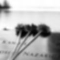 High Angle View Of Flower On Tombstones