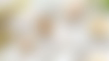 Fragrance & “Hormone Disruption”: What Does the Science Really Say?