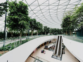 Green Indoors