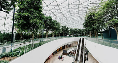 Verde en el interior