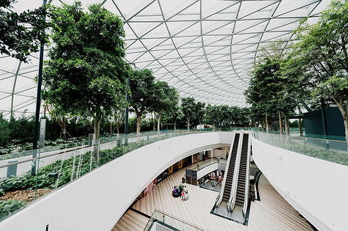 Green Indoors