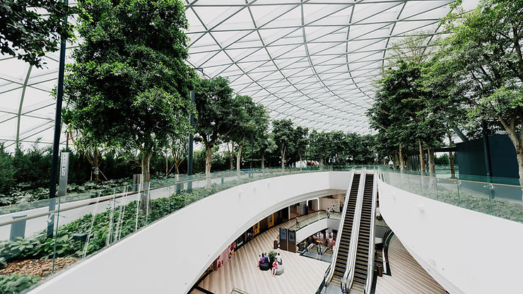 Prostorni tržni center z veliko stekleno kupolo, bujno zelenimi drevesi in tekočih stopnic. Nekaj ljudi sedi in hodi po spodnjem nadstropju. Zračno in spokojno.