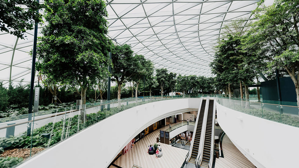 Grün innen, Pflege, Office, Gebäudemanagement