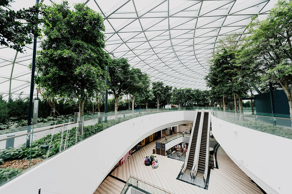 Modern Mall Interior