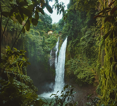 Lush Waterfall Scene
