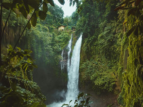 New Research Confirms the Failure of Carbon Offsetting