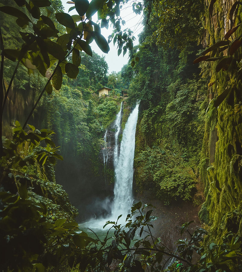 Lush Waterfall Scene