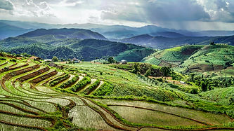 Rice terrace in the mountainous area