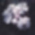 White Flowers On Table