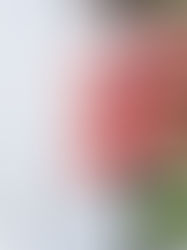 Convenience Is a Dirty Word