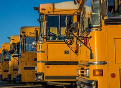 Parked School Buses