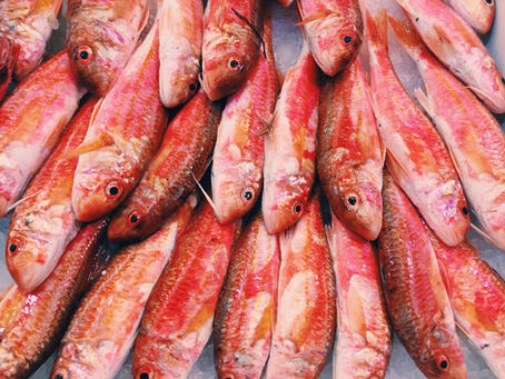 Fresh fish does not always taste the best