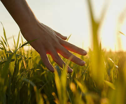 Hand im Feld