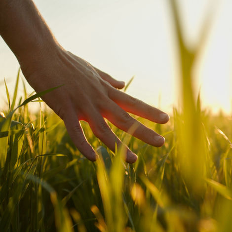 ASESORAMIENTO A ESPACIOS PROTEGIDOS Y ENTIDADES PÚBLICAS