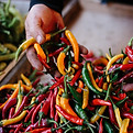 Chilies
