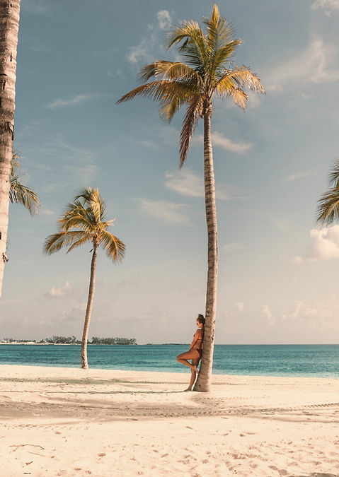 Beach With Palms