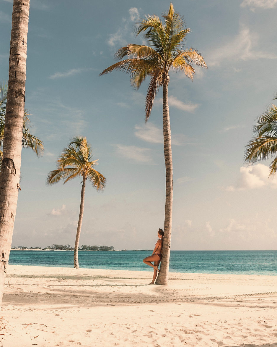 Beach With Palms