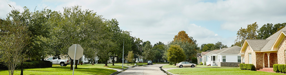 Suburban Street View
