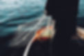 Fishing Net