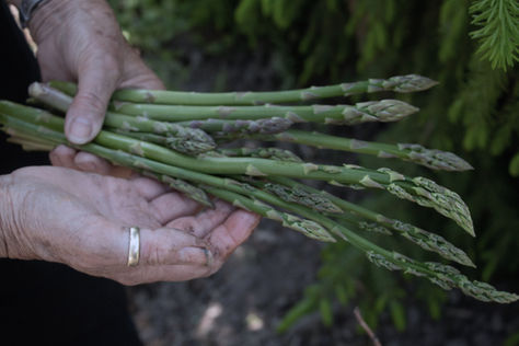 Savour the Seasons: How Mindful Eating Can Transform Your Well-Being
