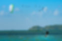 Kiting With Birds
