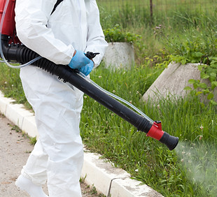 Pest Control Worker