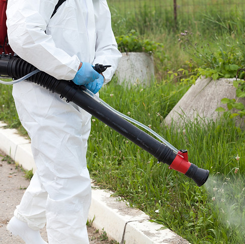 Pest Control Worker
