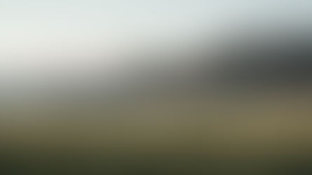 The Practice of Not Knowing