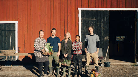 CSA (Community Supported Agriculture) program