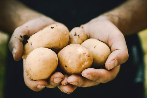 Organic Potatoes