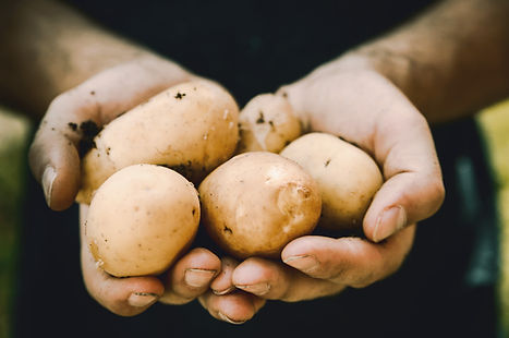 Garden vegetables