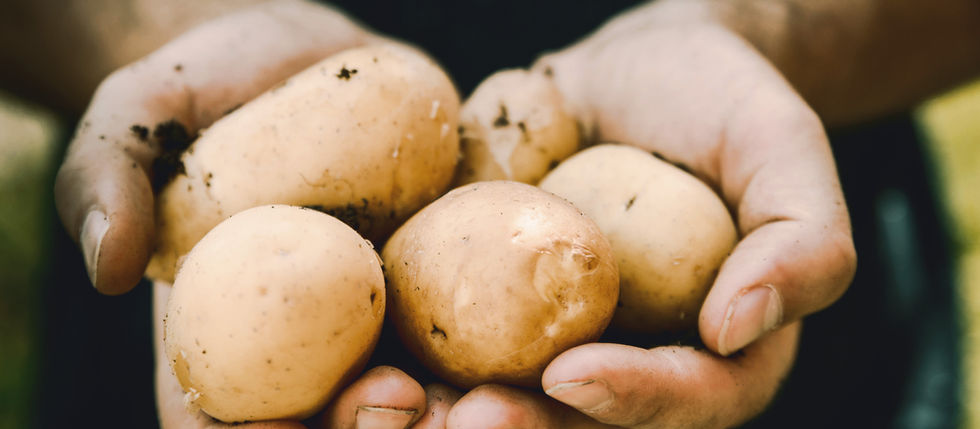Nourishment Beyond Nutrition