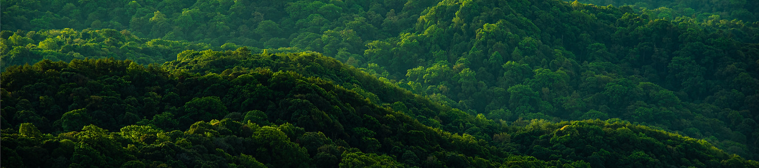 Green Hills