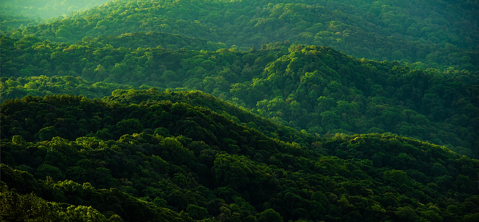 Green Hills
