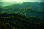 Green Hills