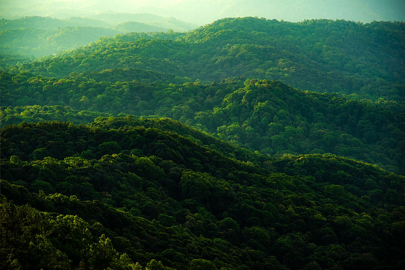 Green Hills