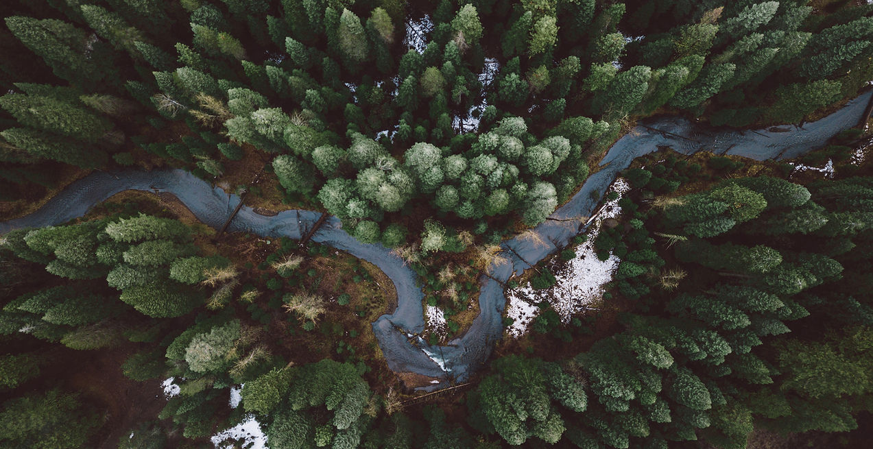 Forest Road Aerial