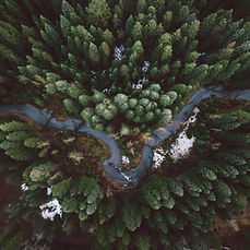 Forest Road Aerial