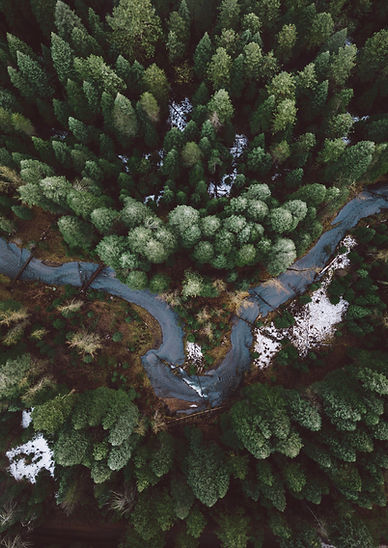 Luftbild der Waldstraße