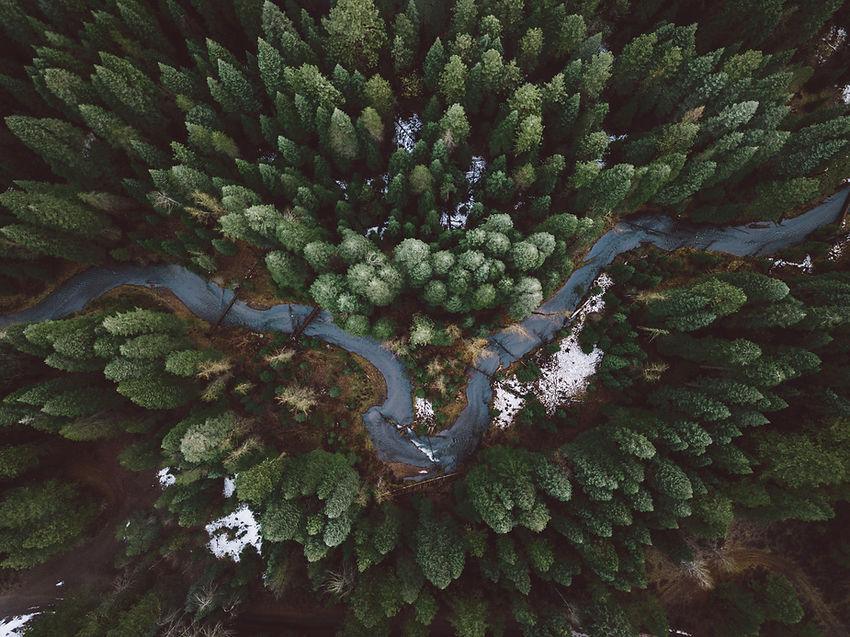 Forest Road Aerial